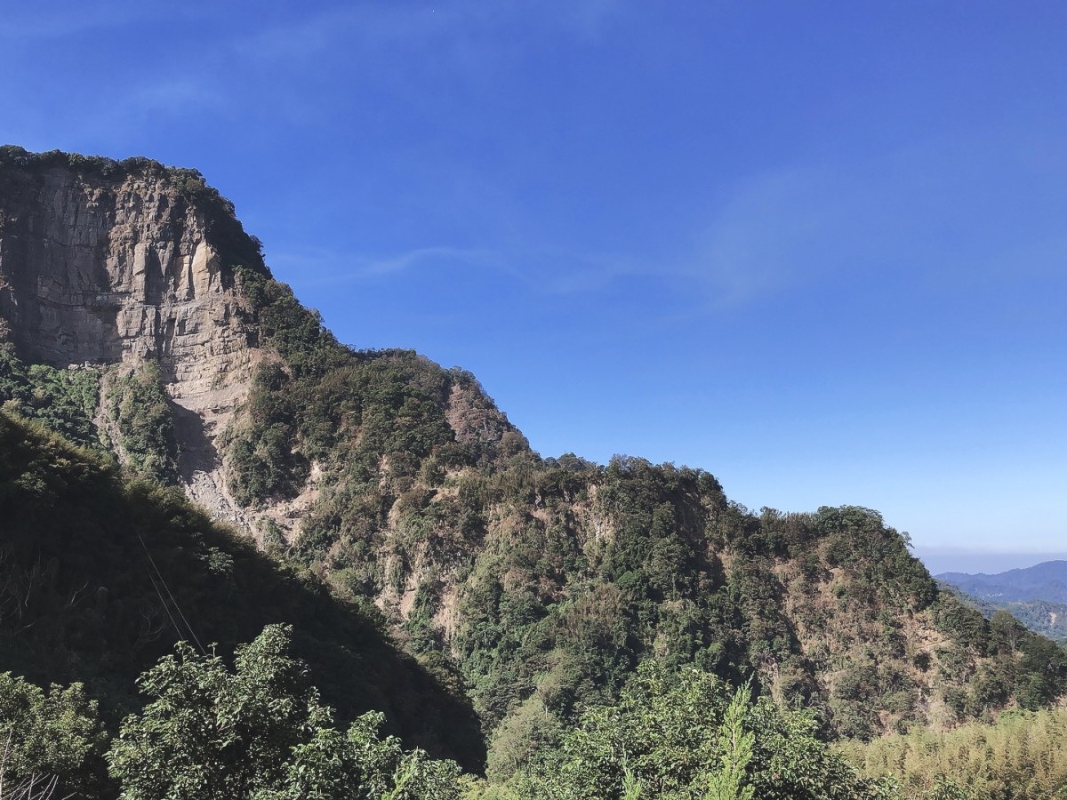 苗栗【泰安想當年】楓樹區深秋草地生日露營