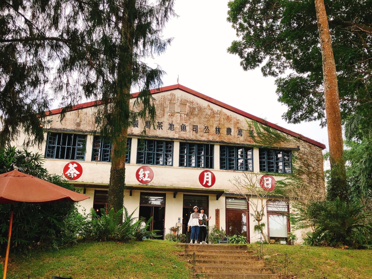 南投魚池【日月老茶廠】一心二葉手採金葉子